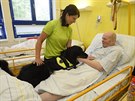 NÁVŠTĚVA. Blanka Hašová a její čtyřletá fenka Aki docházejí do nemocnice ve... NÁVŠTĚVA. Blanka Hašová a její čtyřletá fenka Aki docházejí do nemocnice ve...