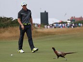 S BAŽANTEM. Rory McIlroy měl na jednom z greenů při druhém kole The Open S BAŽANTEM. Rory McIlroy měl na jednom z greenů při druhém kole The Open