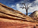 Zion, USA. Z výstavy Zázraky přírody Zion, USA. Z výstavy Zázraky přírody