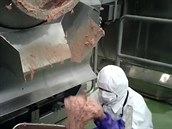 V čínské továrně dál zpracovávali maso spadlé na zem. V čínské továrně dál zpracovávali maso spadlé na zem.