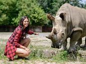 Monika Leová se samicí nosorožce severního bílého Nabiré. Ta dosud žije v zoo... Monika Leová se samicí nosorožce severního bílého Nabiré. Ta dosud žije v zoo...