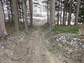 Obyvatelé Machovské Lhoty na Náchodsku si stěžovali na necitlivé zásahy v lese... Obyvatelé Machovské Lhoty na Náchodsku si stěžovali na necitlivé zásahy v lese...