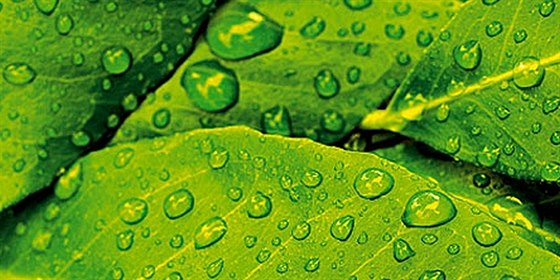 Dopřejte si domů a oceňte účinky i chuť revitalizované „živé“ vody Dopřejte si domů a oceňte účinky i chuť revitalizované „živé“ vody