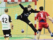 Plzeňský brankář Karel Šmíd inkasuje v utkání s Jičínem. Plzeňský brankář Karel Šmíd inkasuje v utkání s Jičínem.