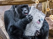 Mnohým připadalo, že přání na jedlém papíře si Richard nejprve přečetl, než ho... Mnohým připadalo, že přání na jedlém papíře si Richard nejprve přečetl, než ho...