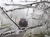 Od pondělí kvůli námraze popadaly na Vysočině stovky stromů. Od pondělí kvůli námraze popadaly na Vysočině stovky stromů.